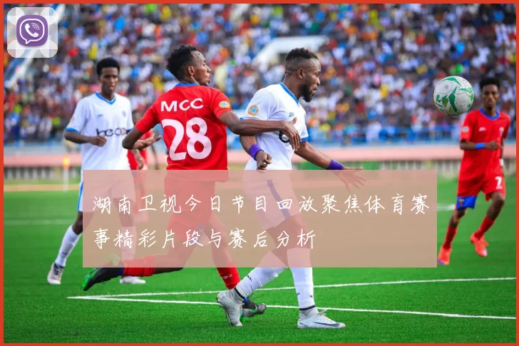 湖南卫视今日节目回放聚焦体育赛事精彩片段与赛后分析