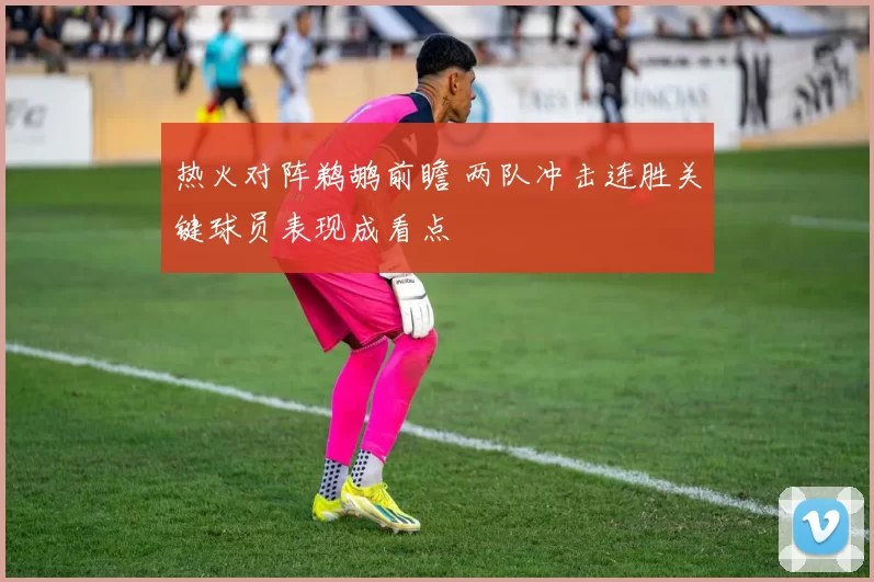 热火对阵鹈鹕前瞻 两队冲击连胜关键球员表现成看点