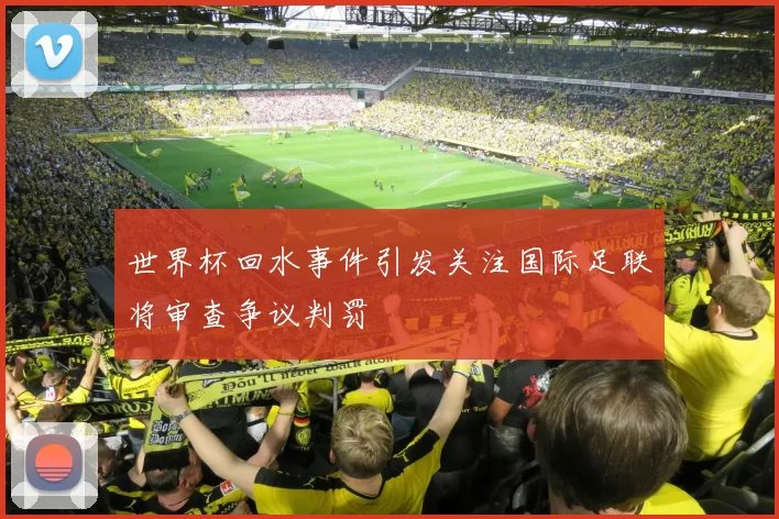 世界杯回水事件引发关注国际足联将审查争议判罚