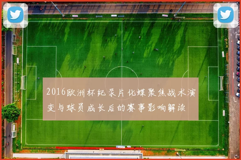 2016欧洲杯纪录片化蝶聚焦战术演变与球员成长后的赛事影响解读