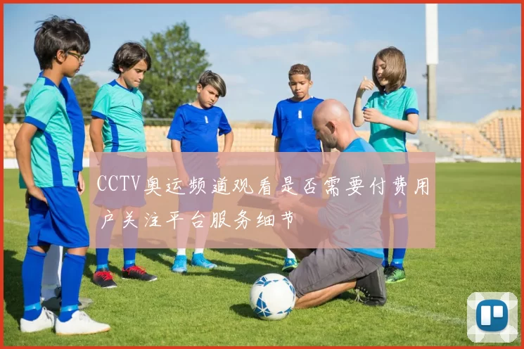 CCTV奥运频道观看是否需要付费用户关注平台服务细节