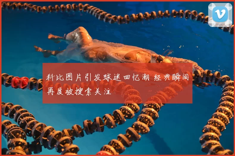 科比图片引发球迷回忆潮 经典瞬间再度被搜索关注