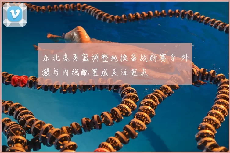 东北虎男篮调整轮换备战新赛季 外援与内线配置成关注重点