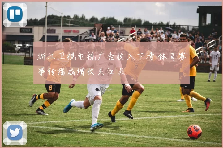 浙江卫视电视广告收入下滑 体育赛事转播成增收关注点